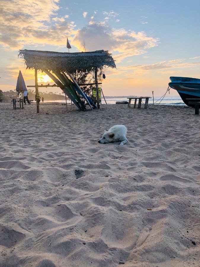 Ocean Breeze Villa Matara Ngoại thất bức ảnh